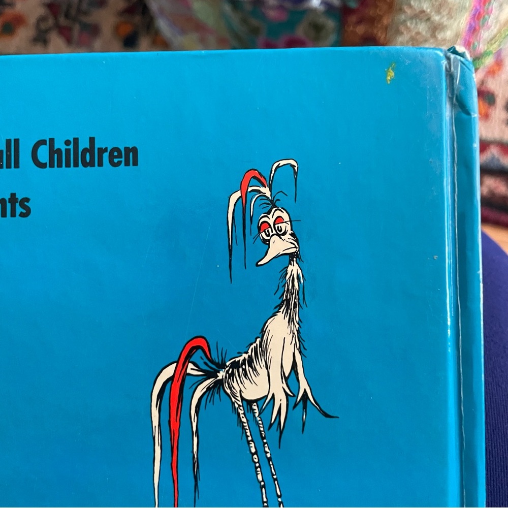 Scrambled Eggs Super! by Dr. Seuss Book - Picture 5 of 8